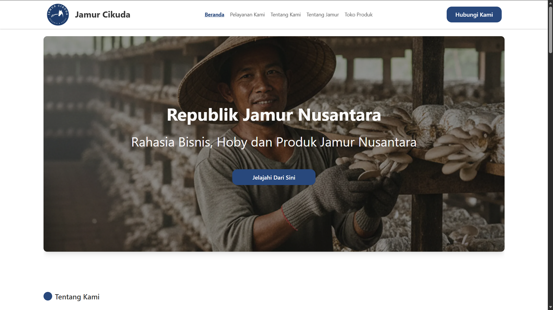 Jamur Cikuda Nusantara